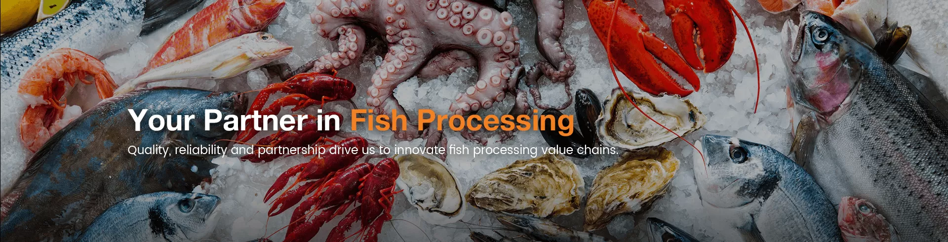 Oyster Grading Process