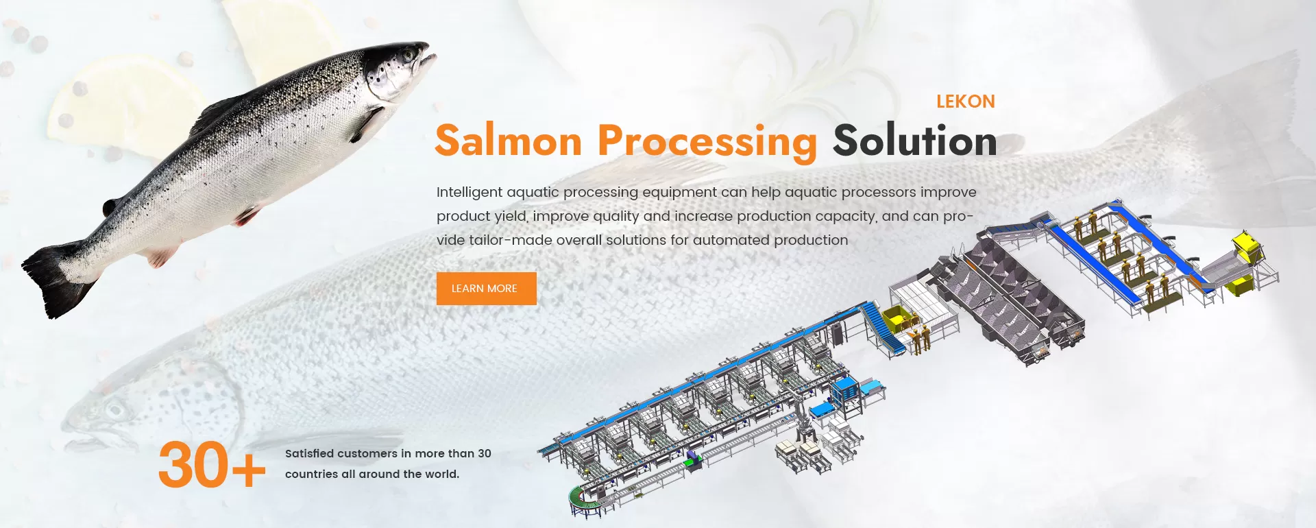 lekon salmon primary processing solutions