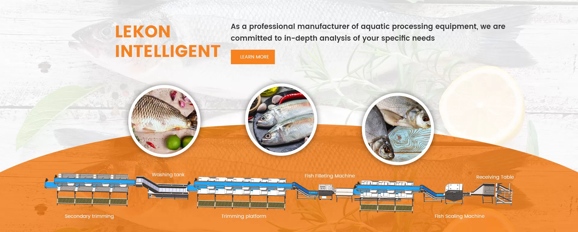 lekon salmon processing solutions