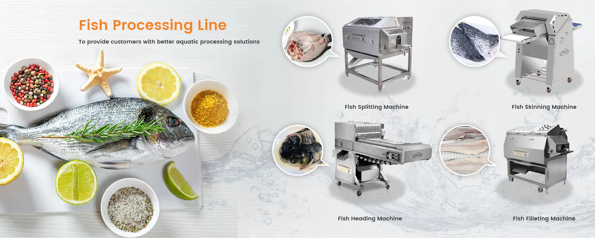 Lekon fish processing equipment manufacturer