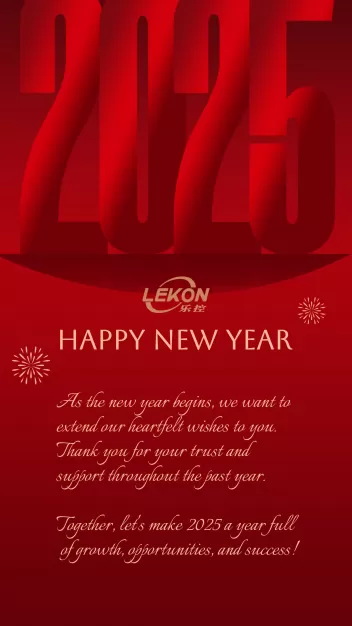 Happy New Year 2025!