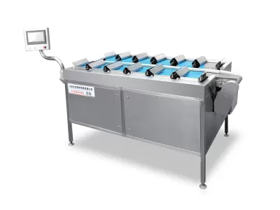 Belt Combination Scale