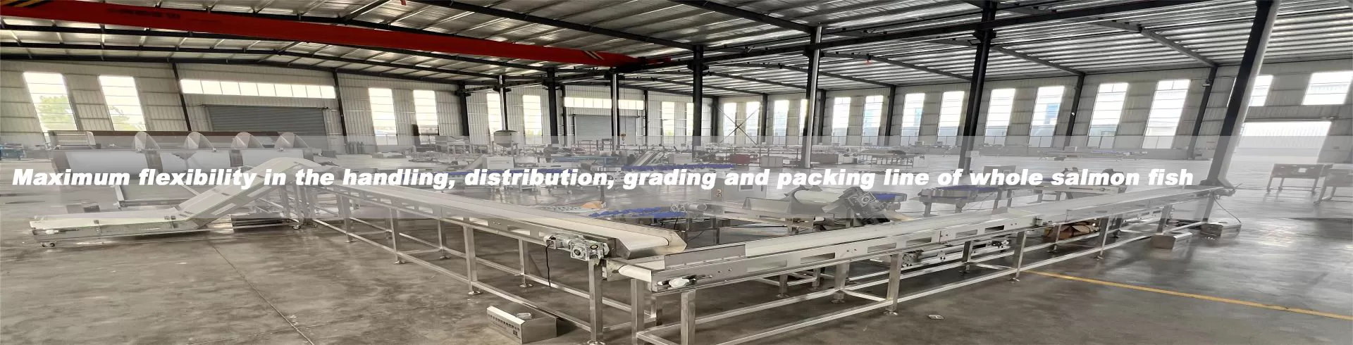 Fish & Seafood Processing