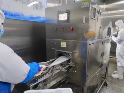 Waterjet Fish Scaling Machine | Fish Descaler