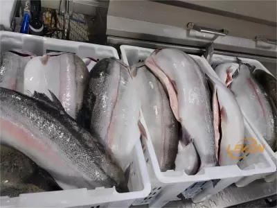 Waterjet Fish Scaling Machine | Fish Descaler
