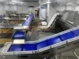 Fish Trimming Lines