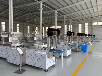 Thermoforming Packaging Machine-Rollstock