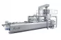 Thermoforming Packaging Machine-Rollstock