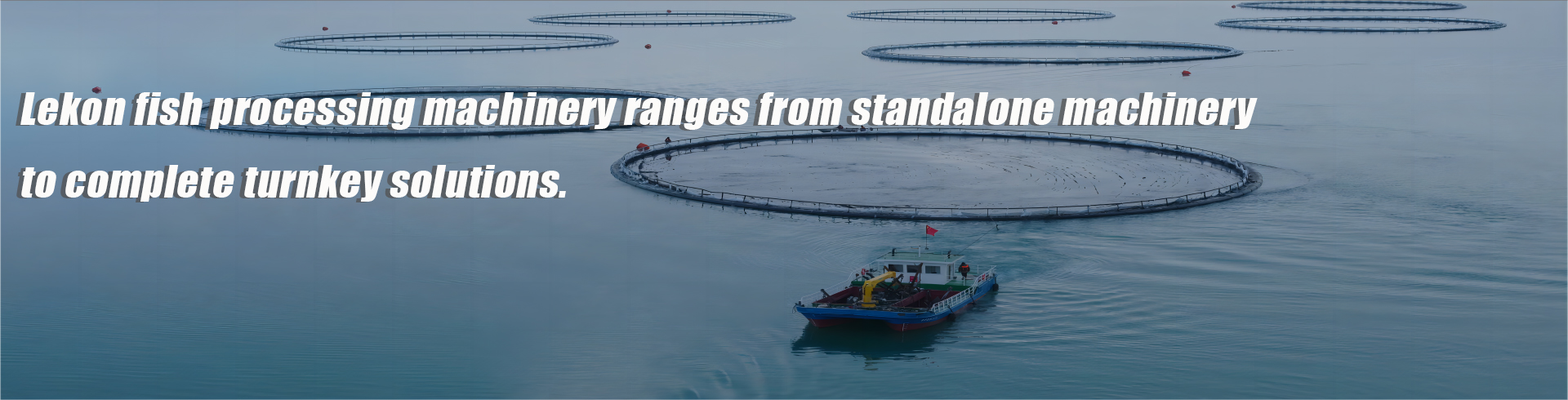 Fish Primary Processing